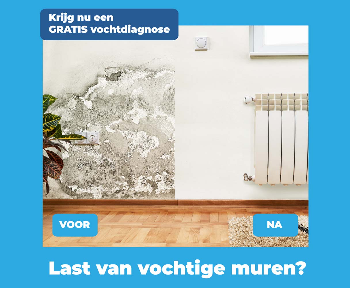DryPlan Vochtdiagnose